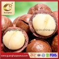 Wholesale Delicious Macadamia Nuts Easy to Peel